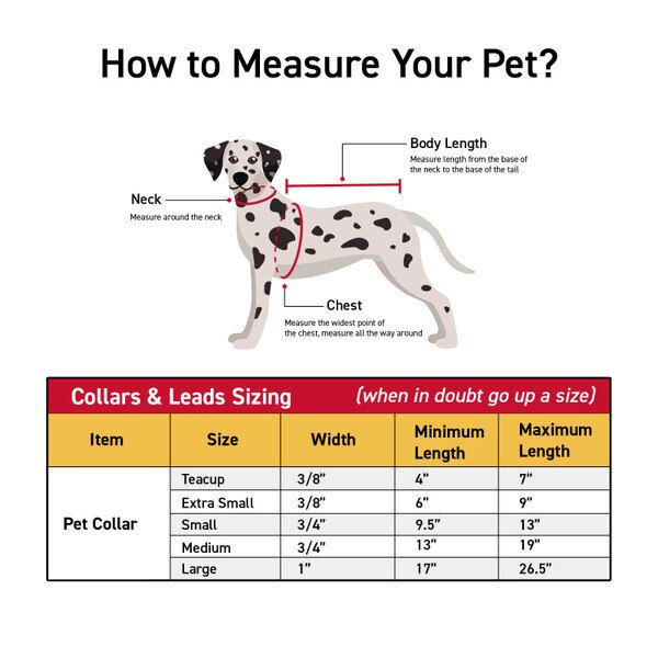 I-State Pet Collar - Small